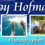 loisjoyhofmann.com