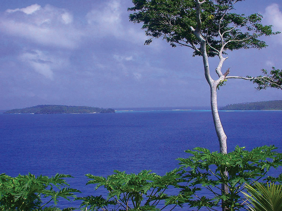 Tonga View